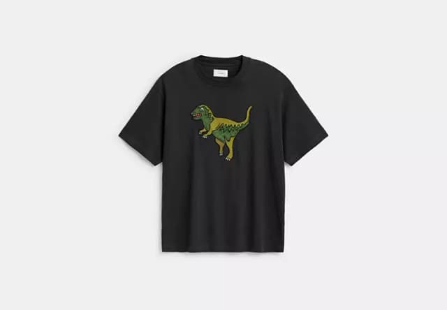 Rexy Relaxed Fit T-Shirt In Organic Cotton